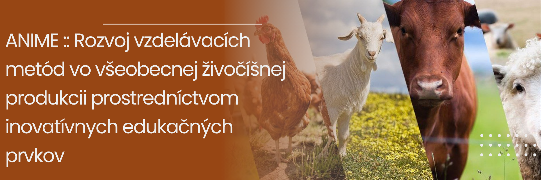 ANIME: Rozvoj vzdelávacích metód vo všeobecnej živočíšnej produkcii prostredníctvom inovatívnych edukačných prvkov